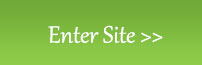 enter site button
